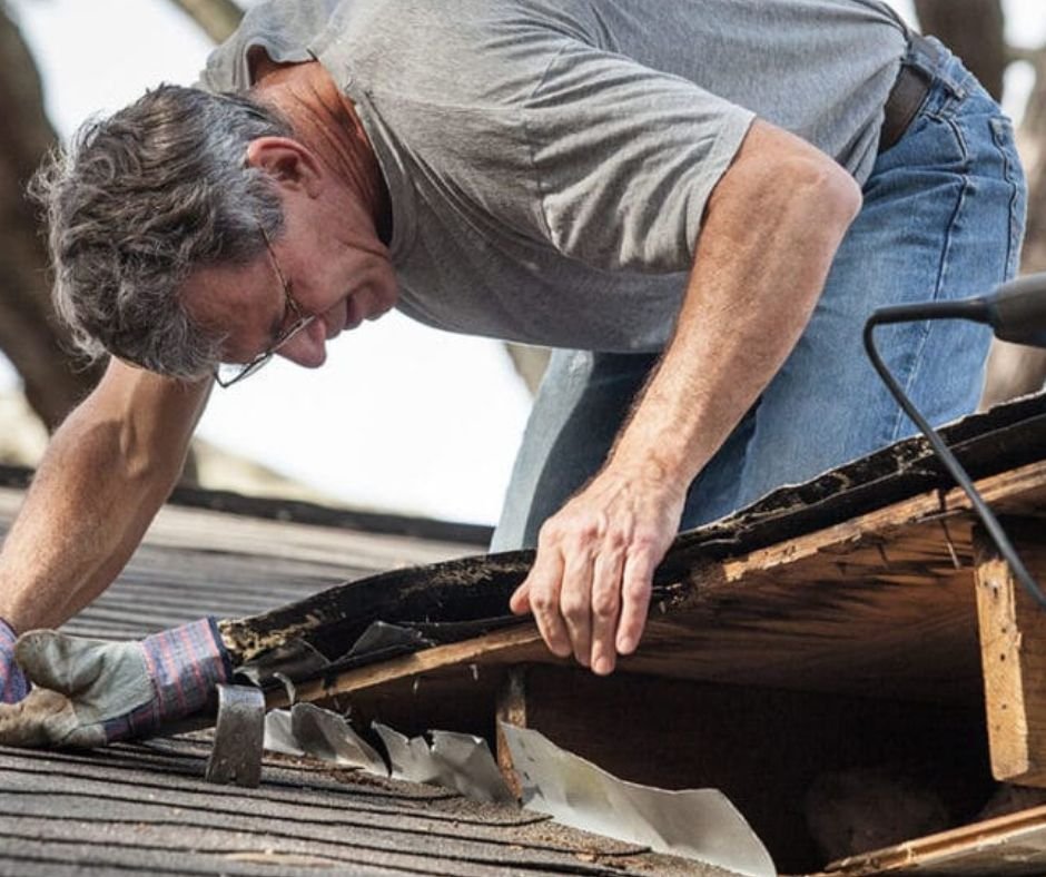 How to Choose the Best Mold Testing Company in LA